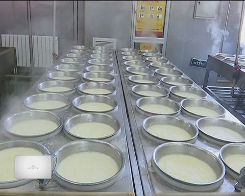 想讓民族食品走向世界的正藍旗長虹乳制品廠