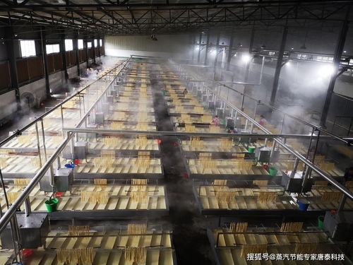 食品行業蒸汽節能案例分享 腐竹廠蒸汽診斷