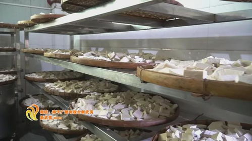 聚焦 大田賽 比賽臨近 食材供應(yīng)工作有序推進