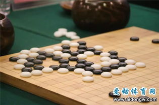 9項比賽同日開賽 趣味運動吸引外國游客