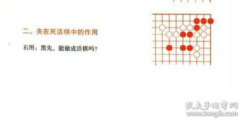 圍棋入門與提高正版教材書籍成人兒童少圖說書入門圍棋