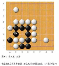 死活難點解析 圍棋 金柜角 全緊氣情況變化詳解