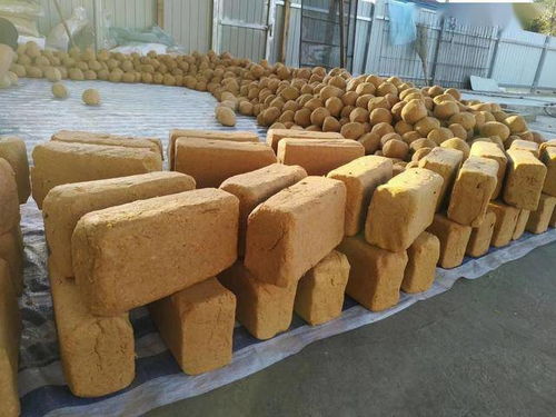 東明村 濃濃醬香品出小康滋味