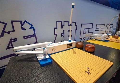 錢塘問(wèn)道暨小明圍棋機(jī)器人發(fā)布會(huì)在蕭山順利舉行