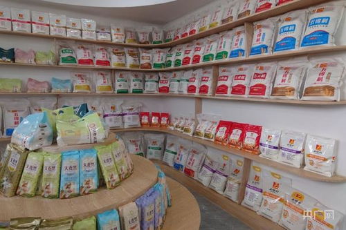 日產能9000噸 新鄉一面粉加工企業日產量可供近25萬人吃一年