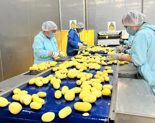 福滿興食品廠投產，利群商業集團布局全產業鏈再落一子