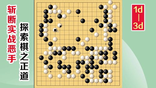 圍棋實戰(zhàn)解說 級位至段位漲棋捷徑，反守為攻的制勝之道